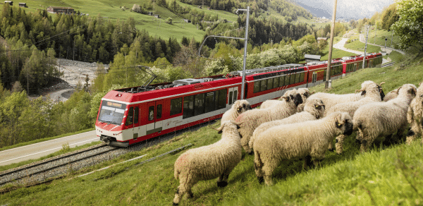 Matterhorn Gotthard Bahn