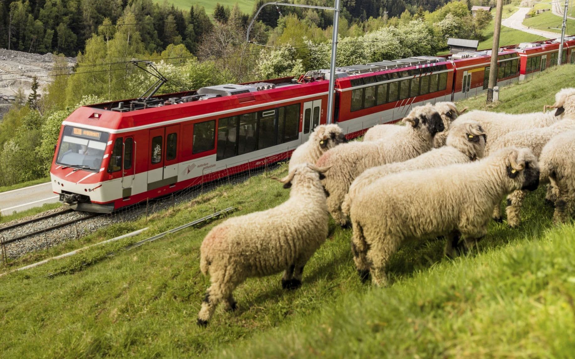 Le nouvel éclat, moins gourmand en énergie, de la gare de Zermatt