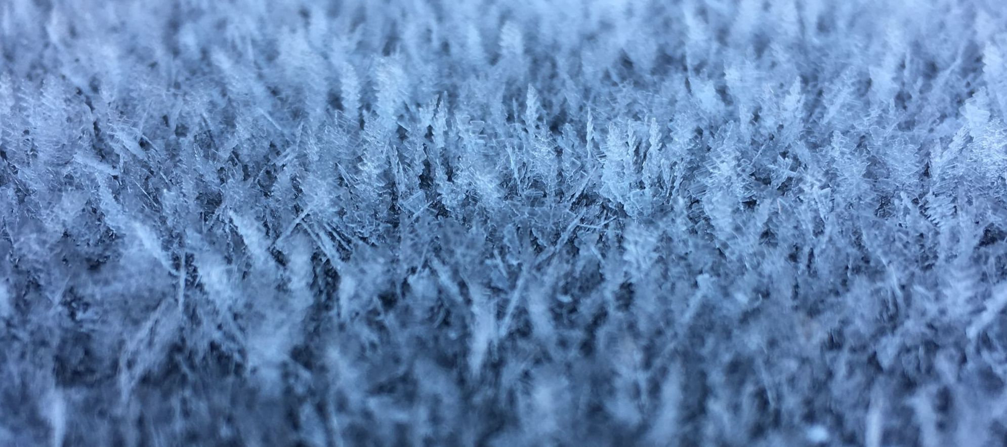 Apéro-Energia ProKilowatt 2020 – Online