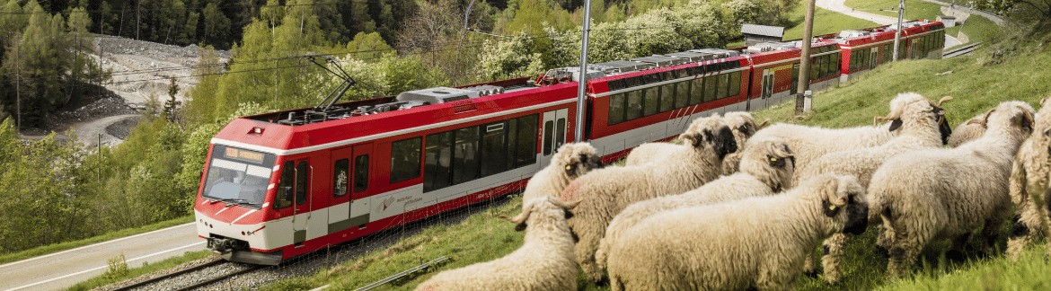Matterhorn Gotthard Bahn